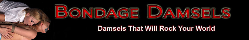 Bondage Damsels Logo